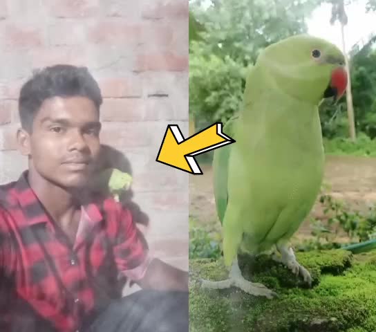 @⚡Prhalad Swain⚡