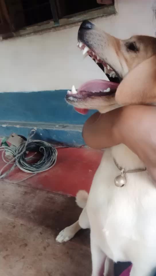 @Anjali Anju