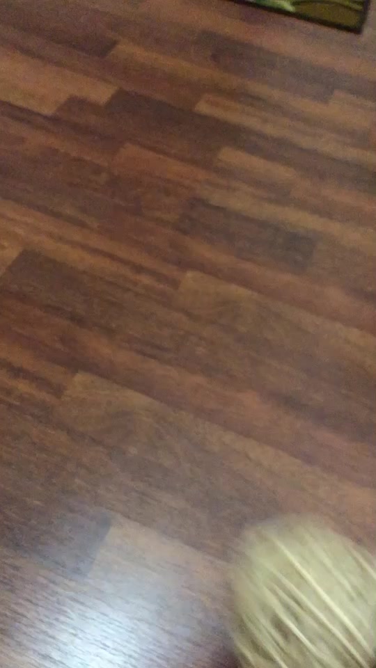 @Pop_corn_the_hamo