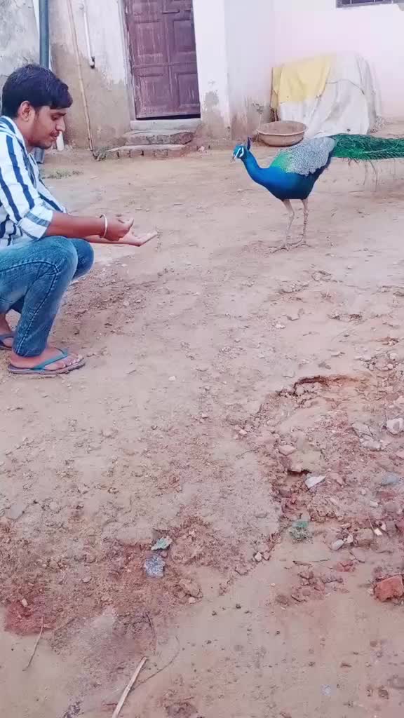 @Mahesh Meena