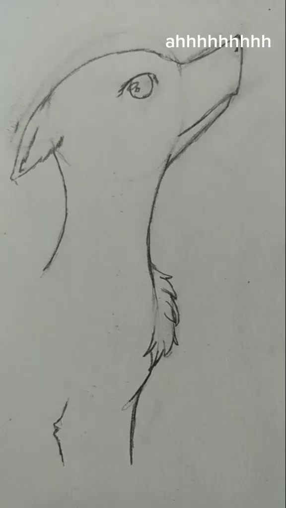 @user16423205407