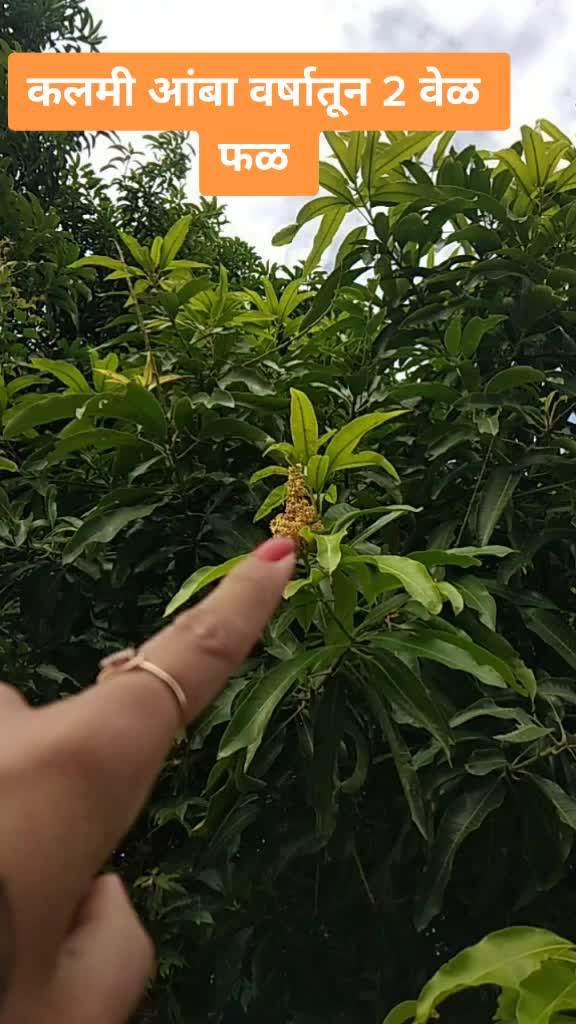 @www.shailashinde.in