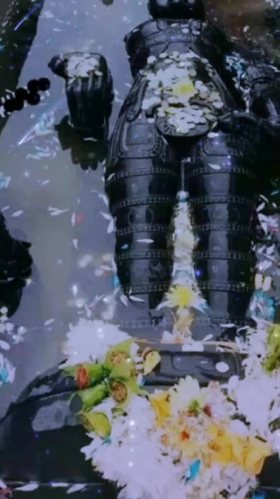 @Akki collections