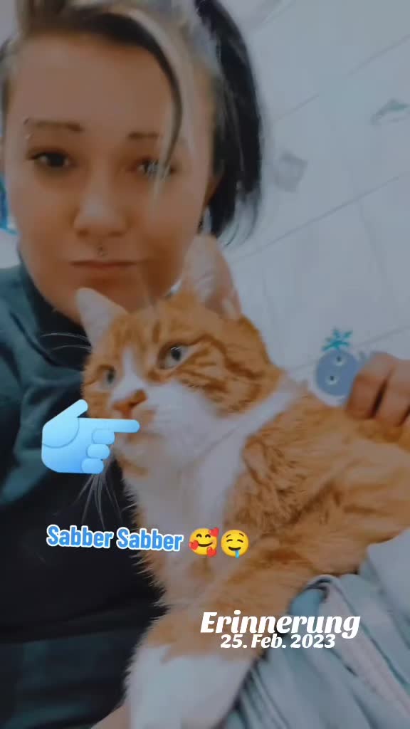 @🧚Steffilein🧚