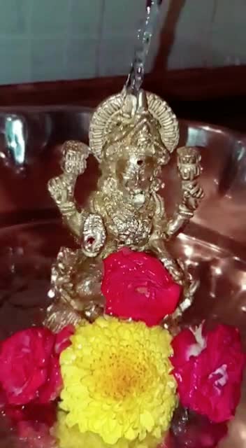 @sandhya_gajjala