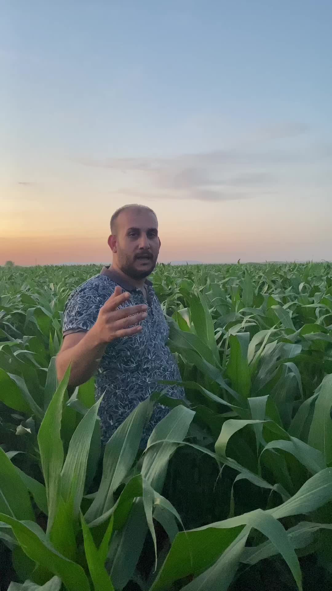 @AGROŞİMŞEK TARIM &Uuml;R&Uuml;NLERİ