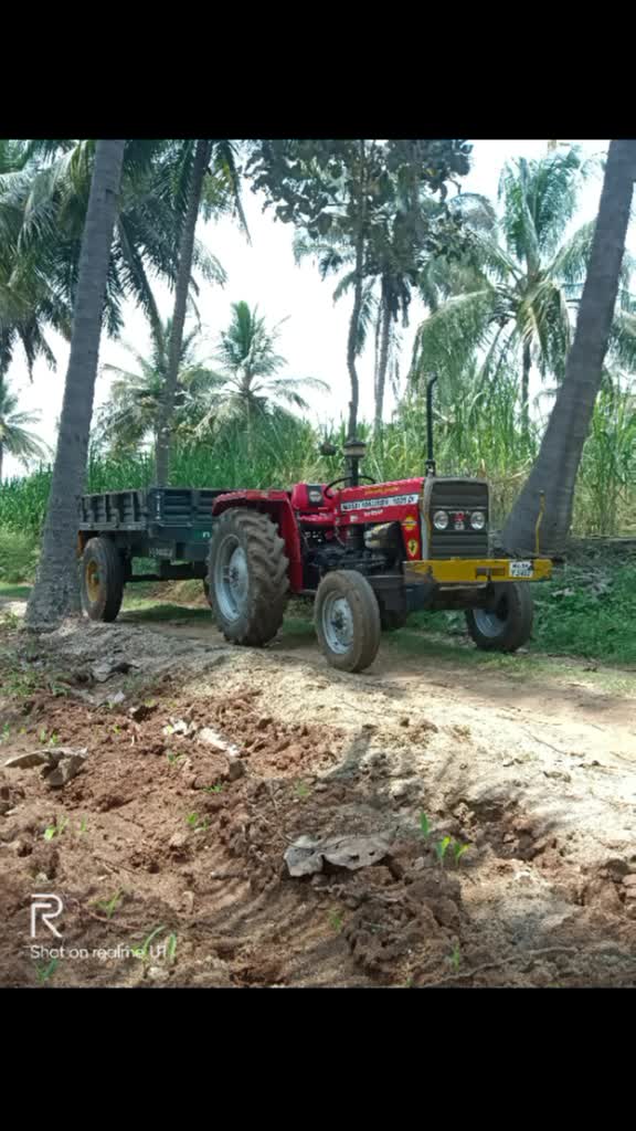 @💞Nc,37 ಗೂಳಿ ಚಿನ್ನು?