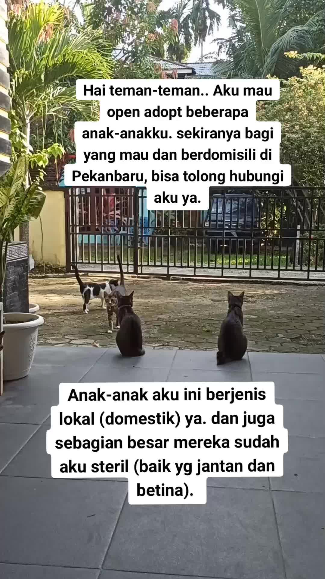 @Keluarga Manja R