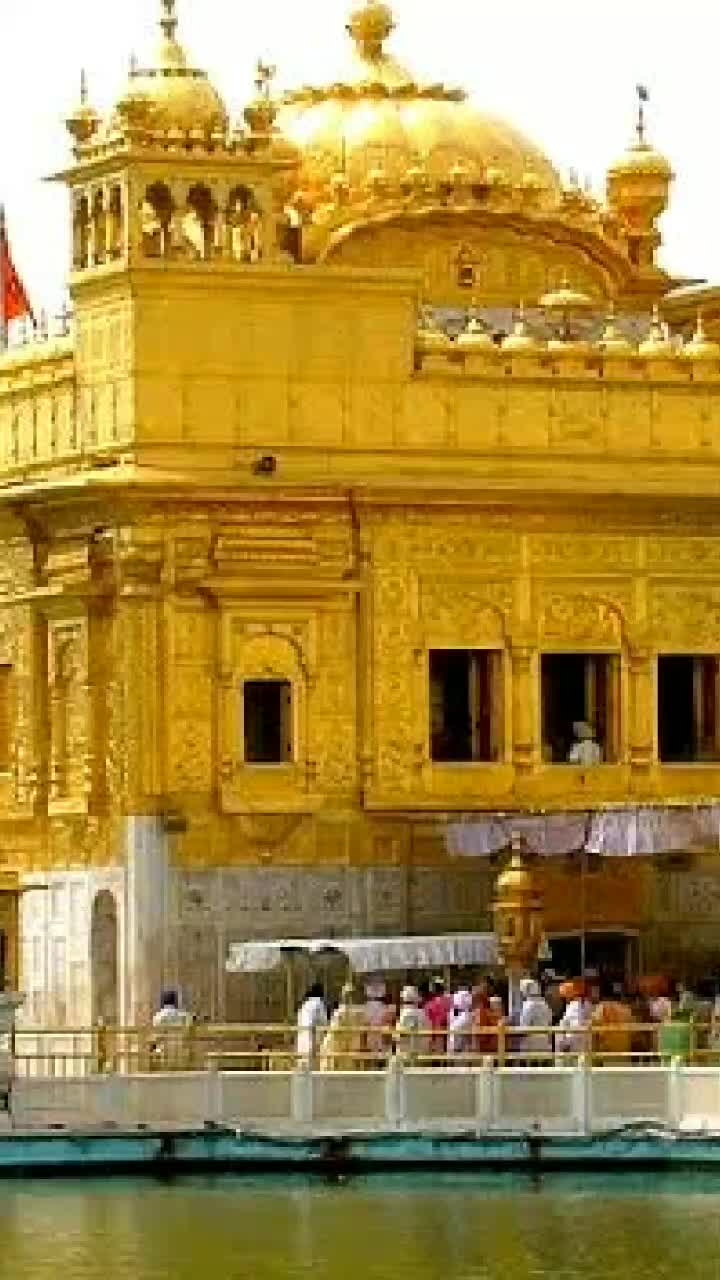 @shikhaahuja999