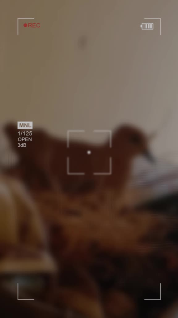 @Anshika😘😘