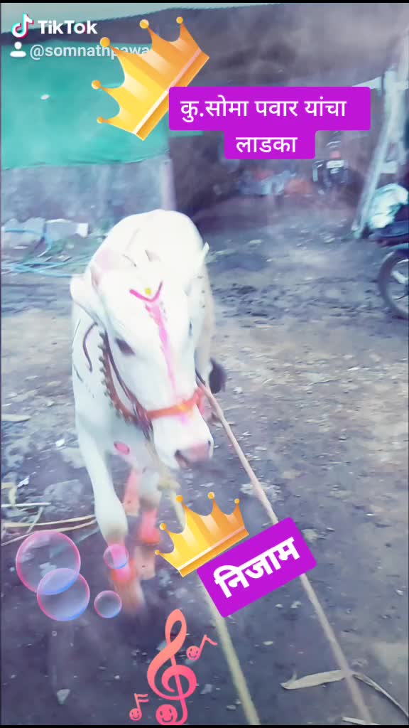 @Somnath Pawar