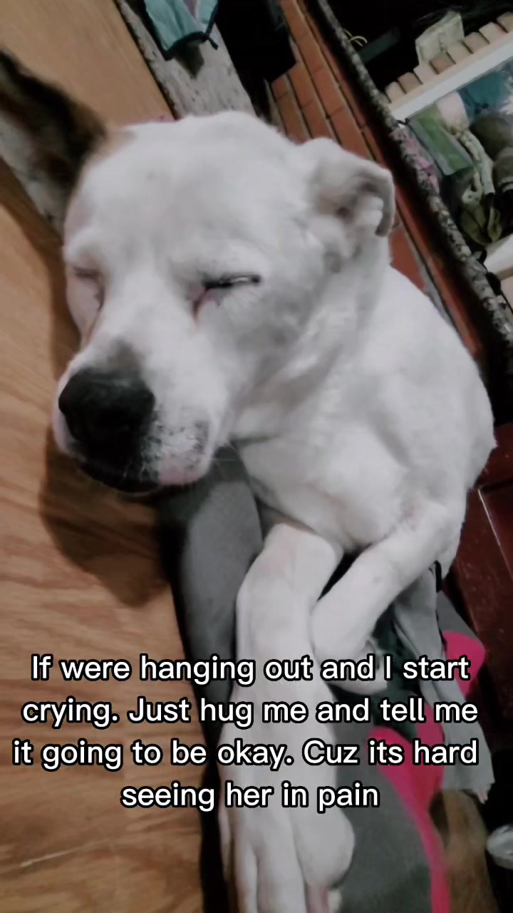 @Lulu ♡ Luna