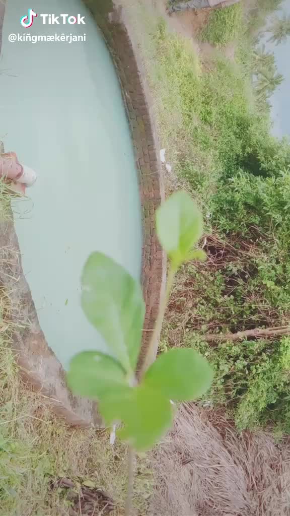 @sivakumar