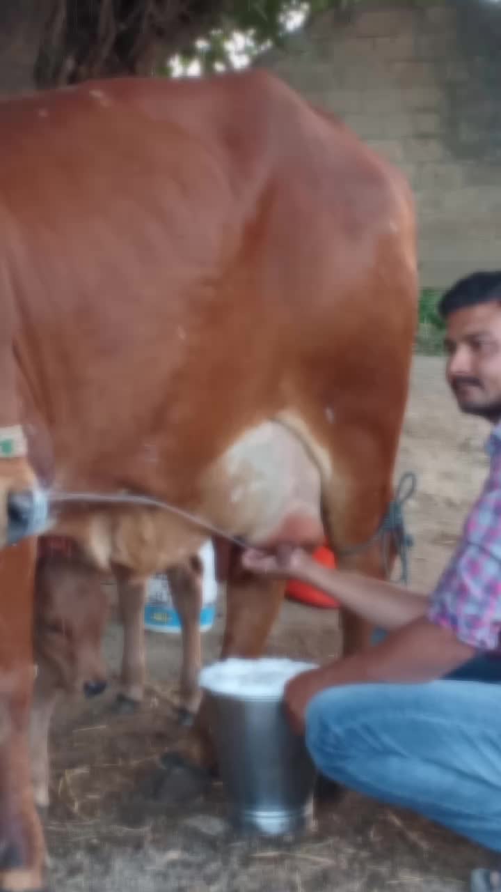 @Hardik8920