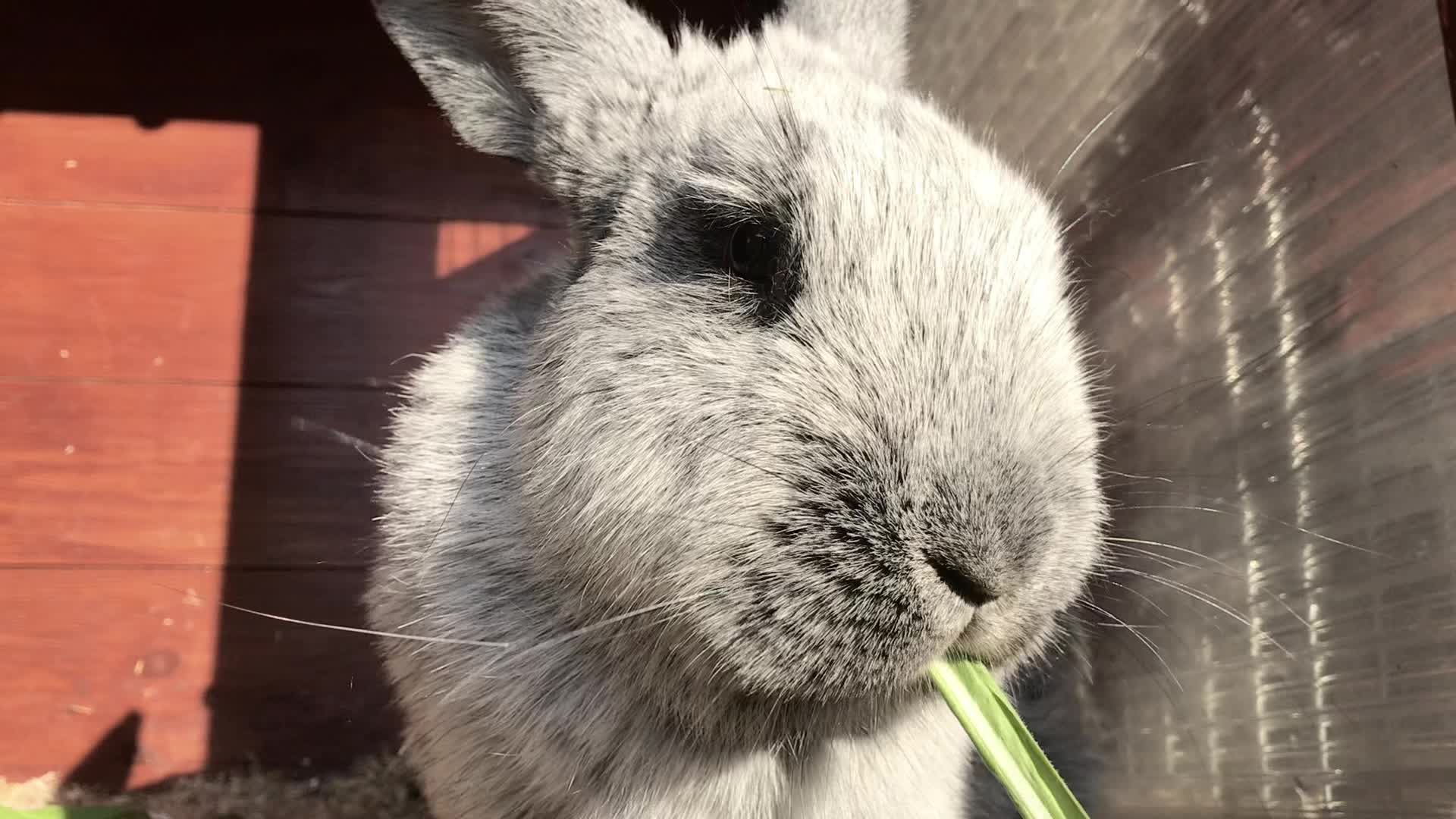@🐾