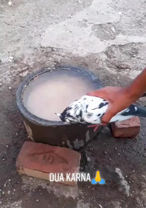 @user2247713593927