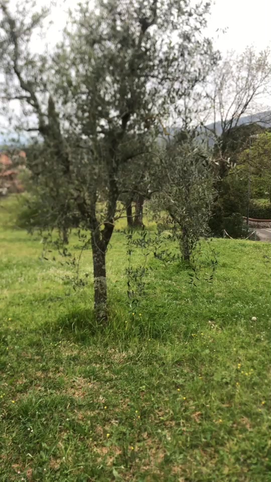 @Giuseppe Firmani