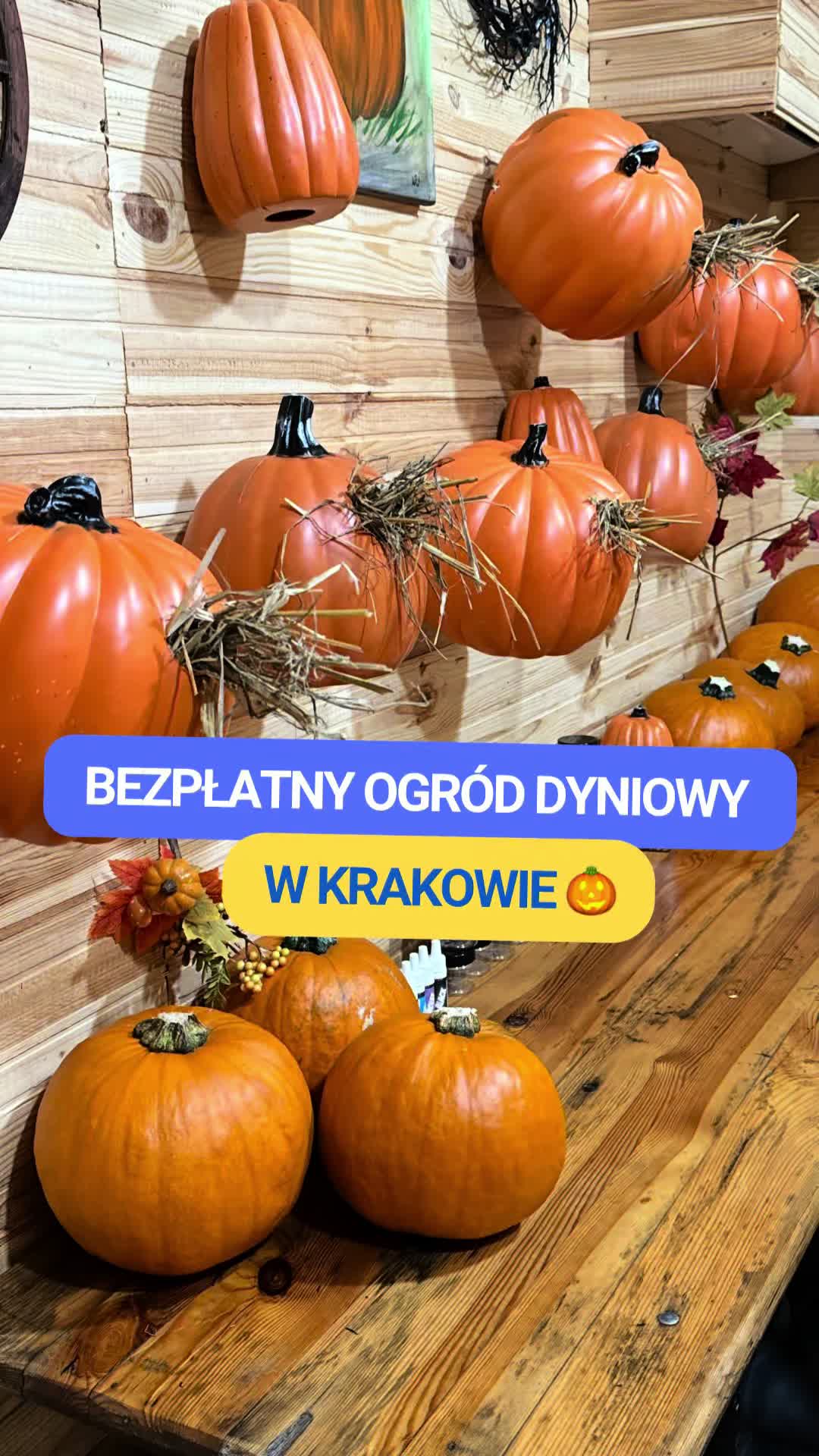 @Krak&oacute;w z dzieckiem