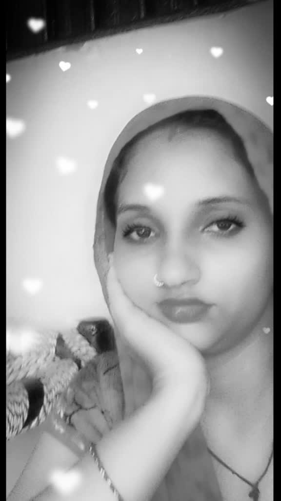@Bulbul Ranib6599932