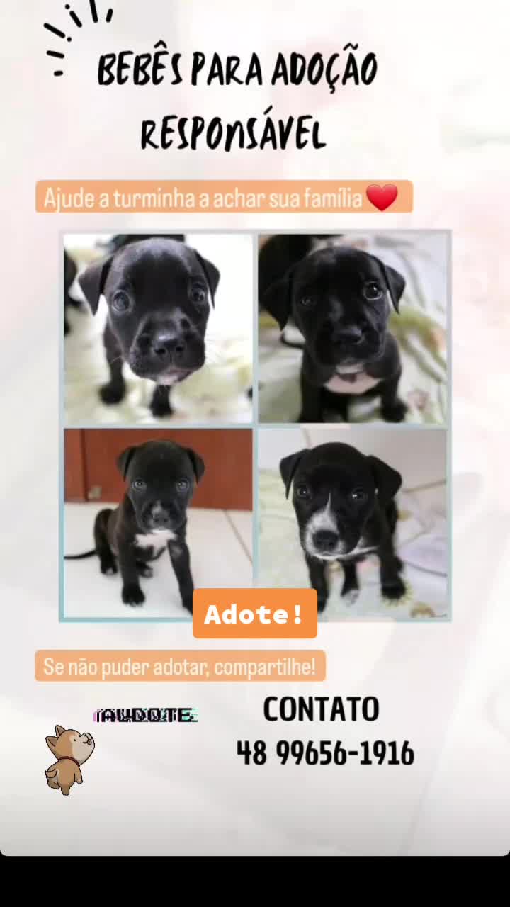 @asfotosdagabi