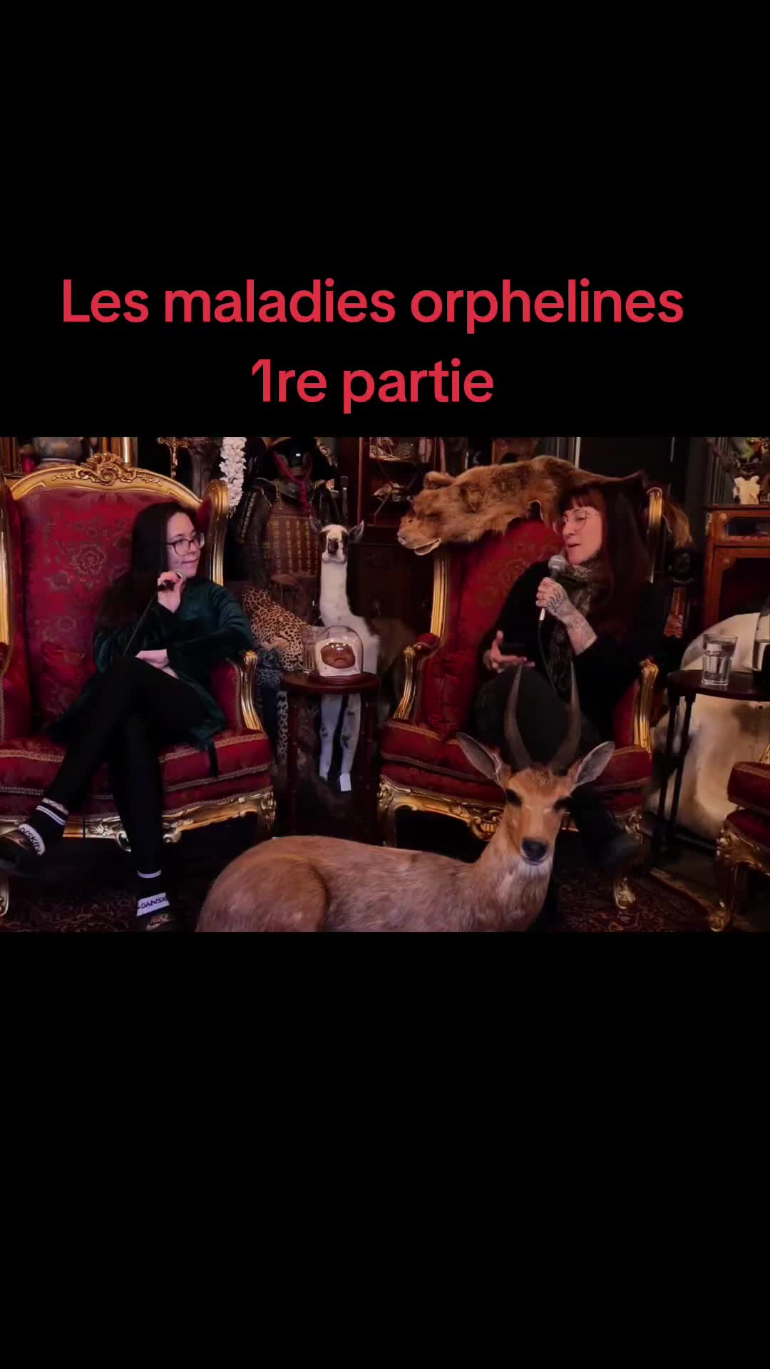 @Les Curieuses