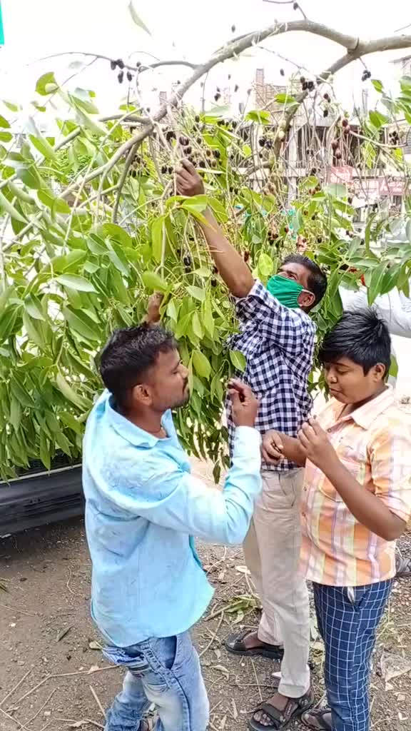 @prabhakarwaghmare15