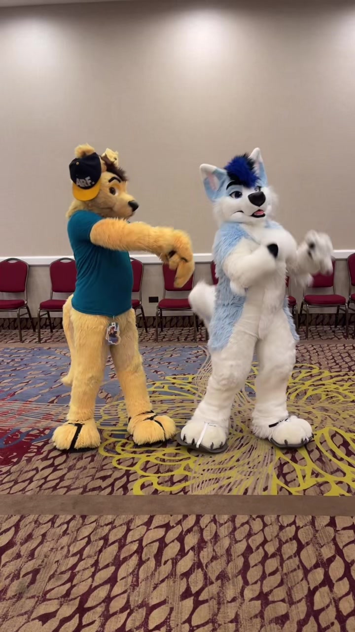 @Daxterdingo