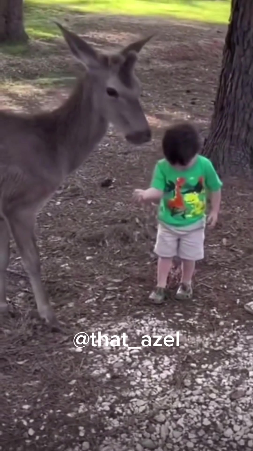 @Azel