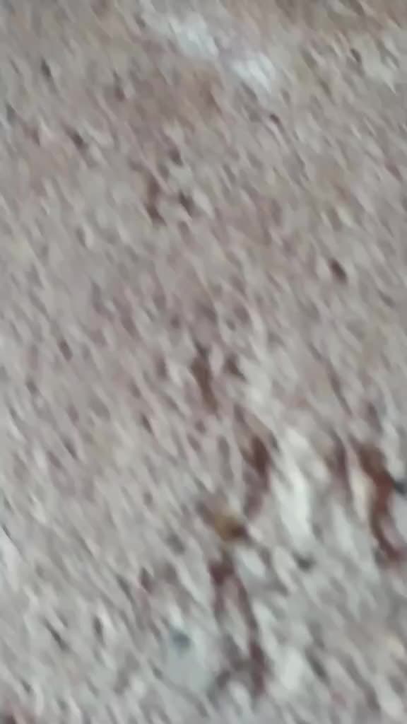 @sunnychary5434