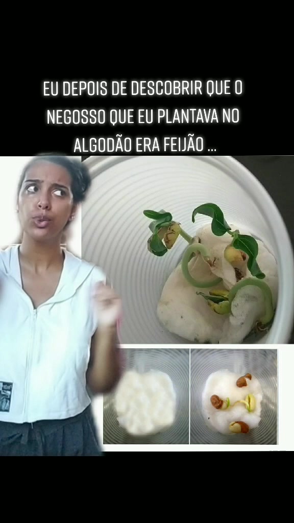 @Jessika Sobral