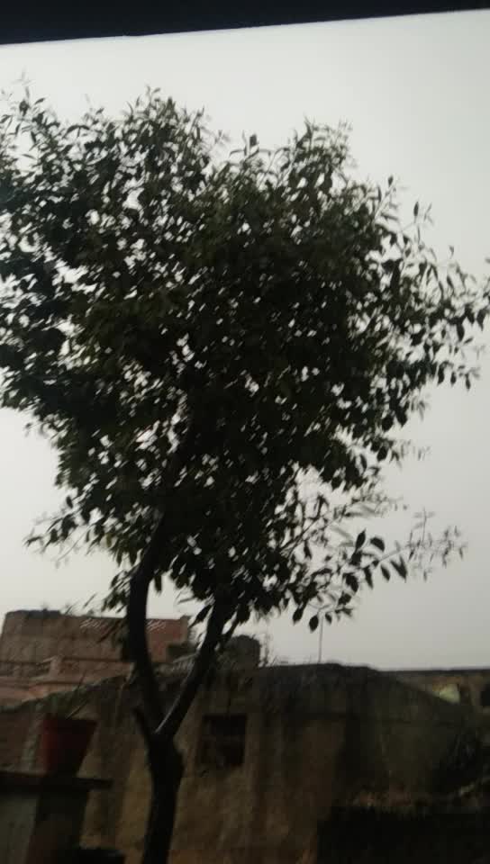 @Jatinder Bhardwaj