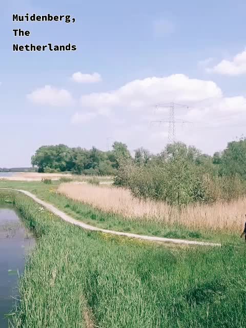 @realtoriz