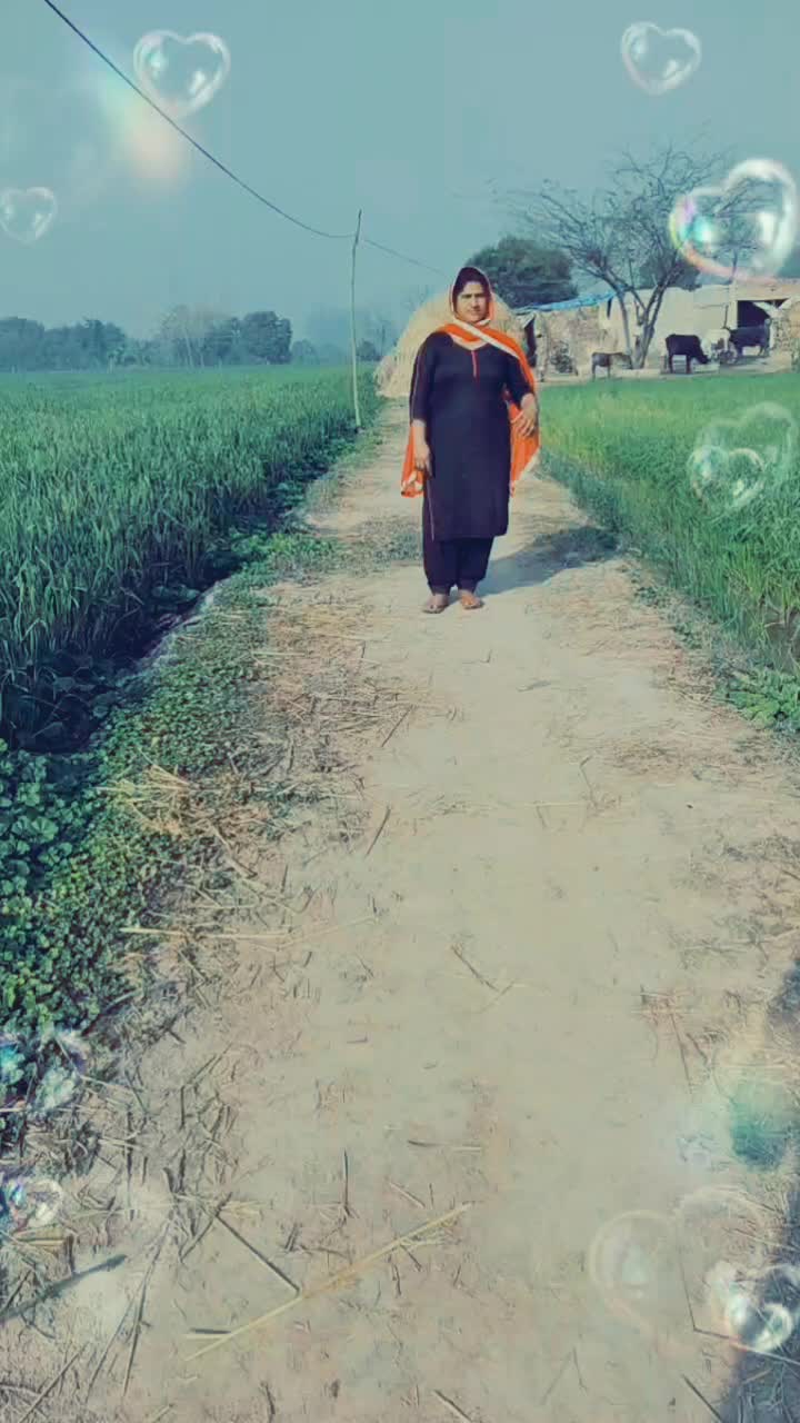 @user8889324861768