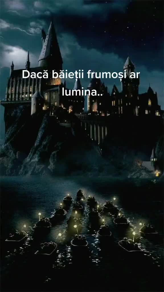 @Fan Harry Potter
