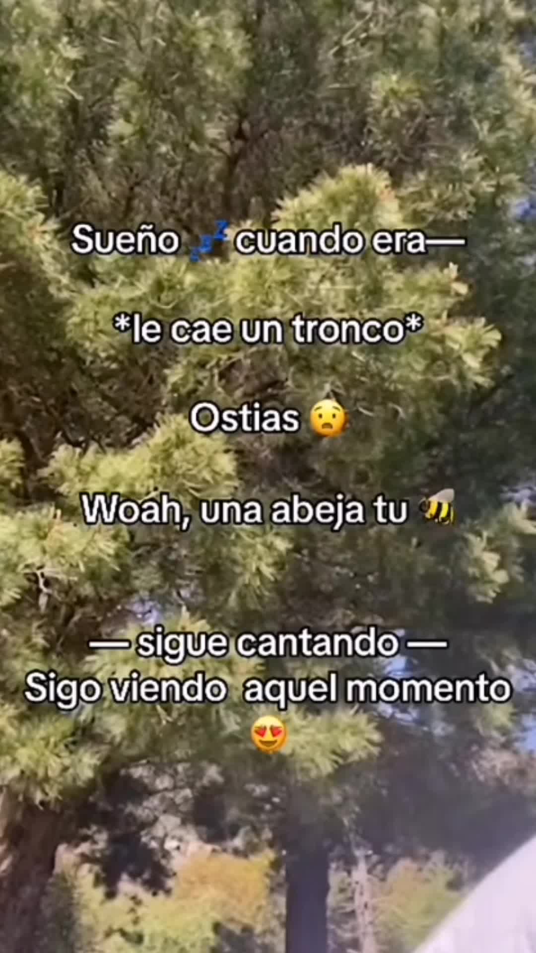 @Javi_zrx7