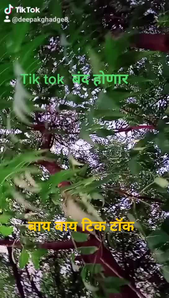 @Deepak Ghadge