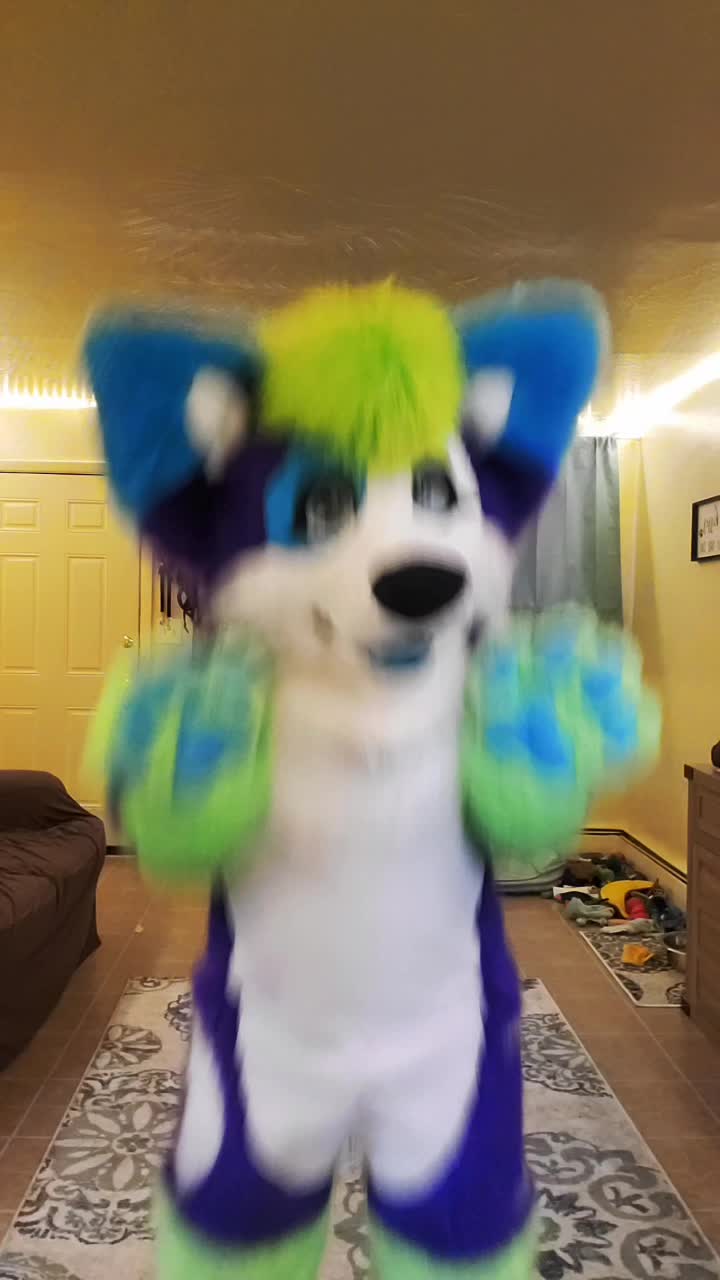 @Luna Husky
