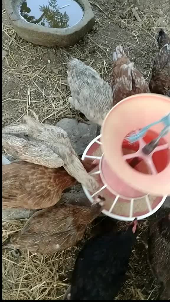 @sânkâr