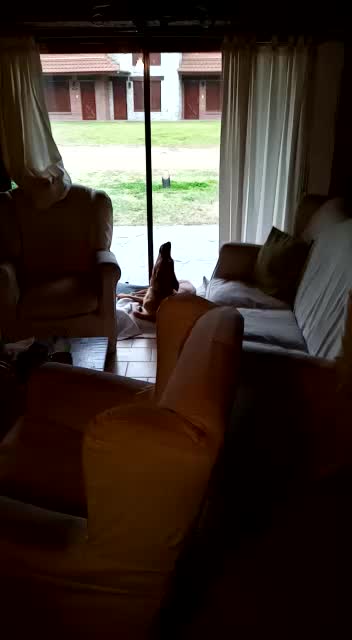 @Agustina Gorosito