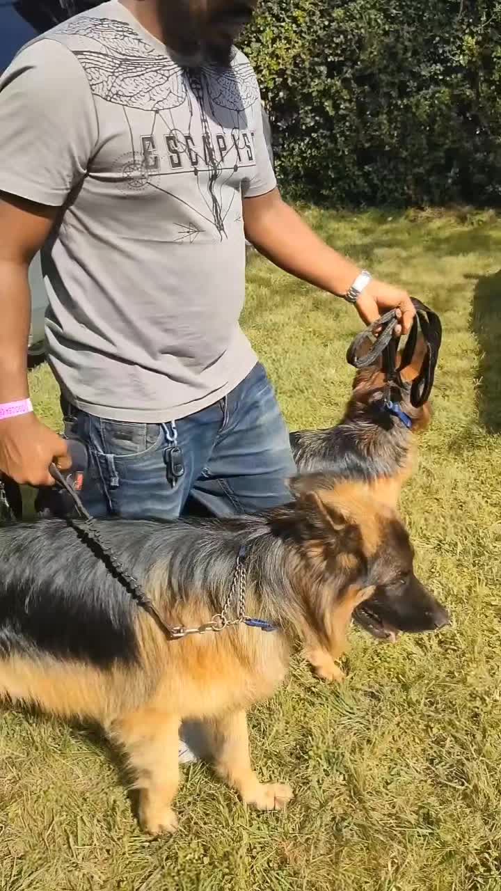 @Kims Kennel 🇰🇪