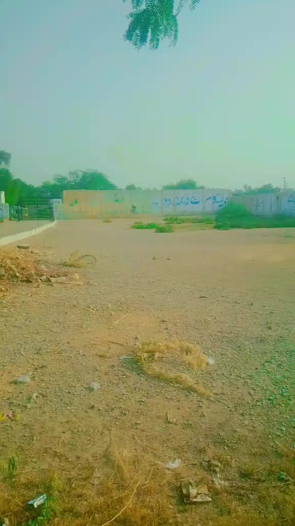 @nehalkhan25277