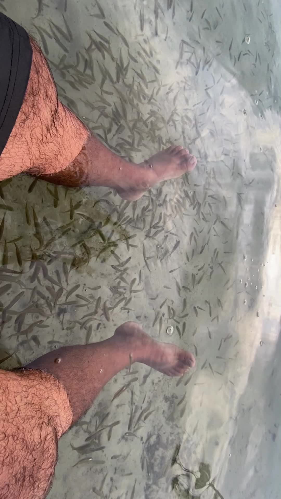 @mjviagensporterra