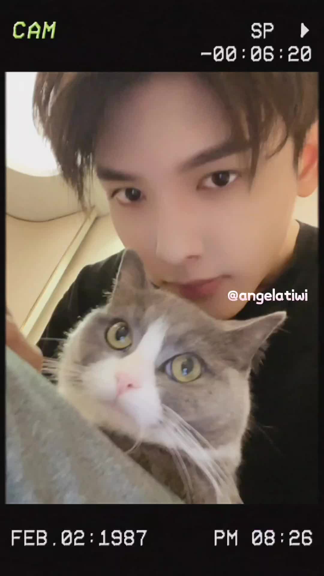 @angela洪仙麗喜欢RileyWang王以纶鬼鬼吴映洁沐言