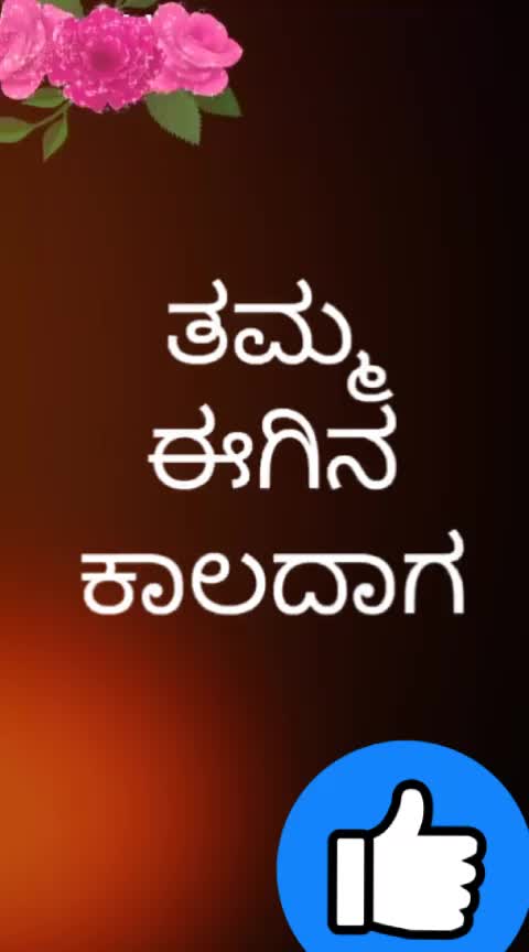 @user25063672391