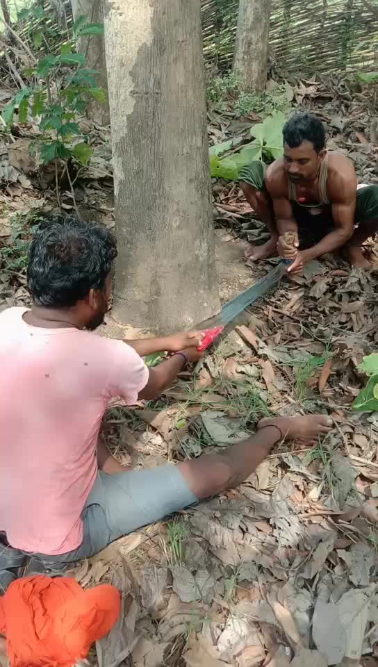@Biranchi Bhoi