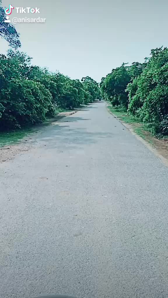 @Ani Sardar