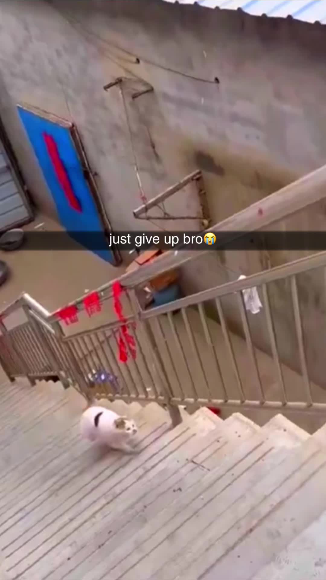@Dose Of Memez