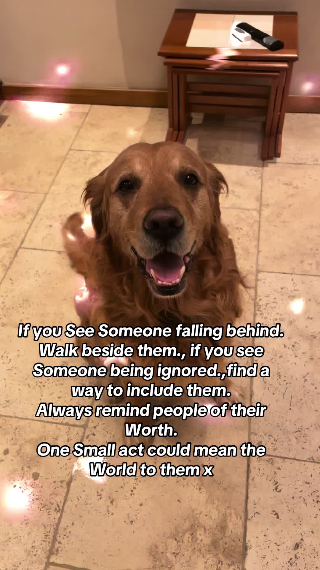 @Happy buddy