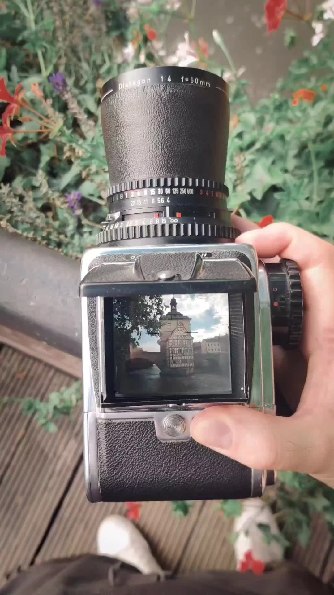 @Kai Manaa