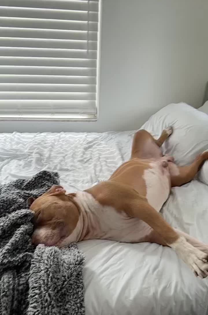@LifeofTino